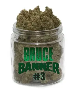 Bruce Banner