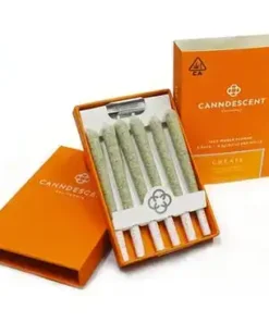 Candescent Create 310 .5g Pre-roll 6 Pack