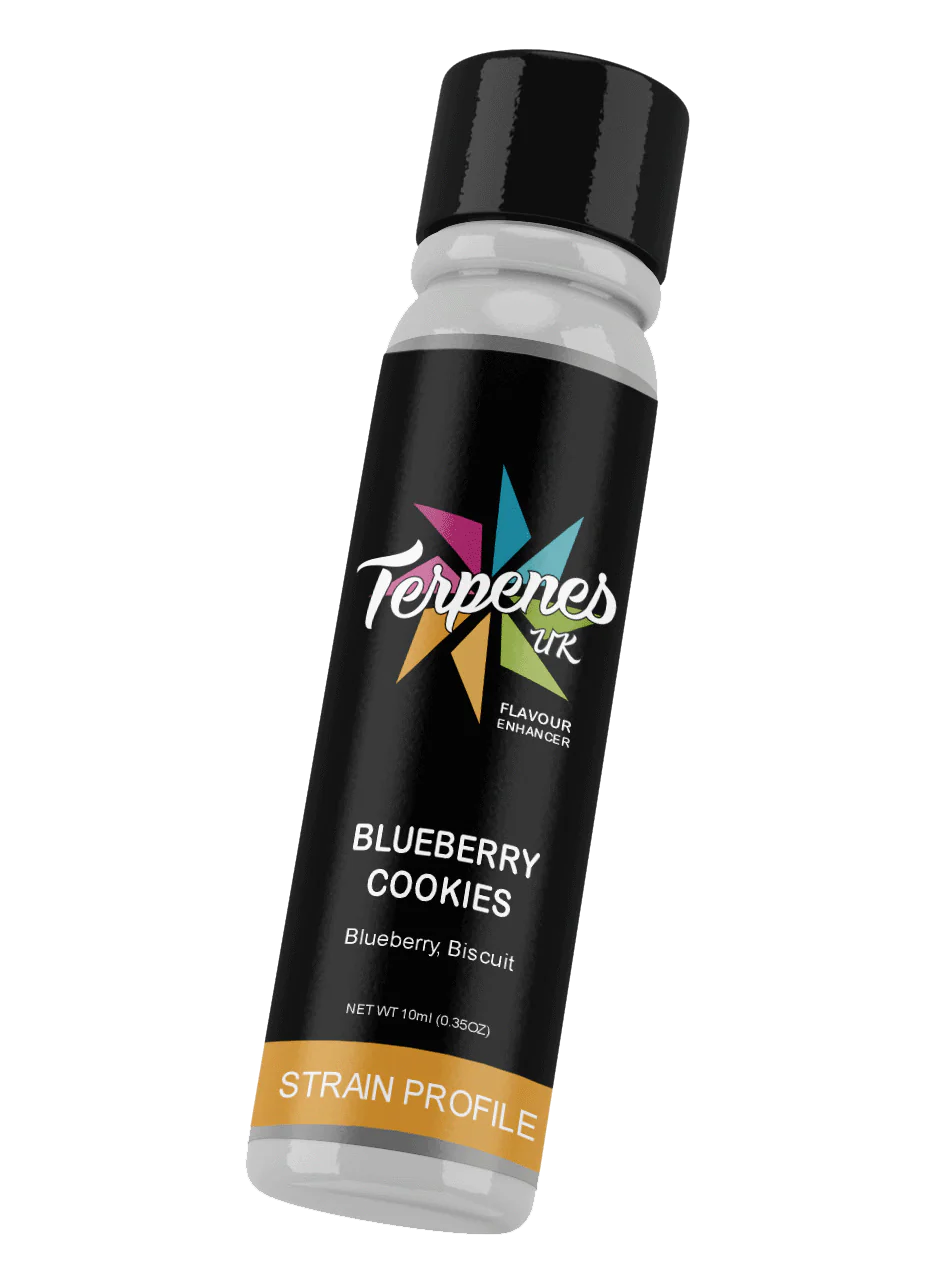 Blueberry Cookies