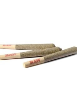 Pre Rolls
