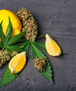 Terpenes